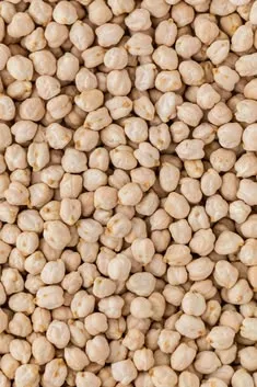 Channa White