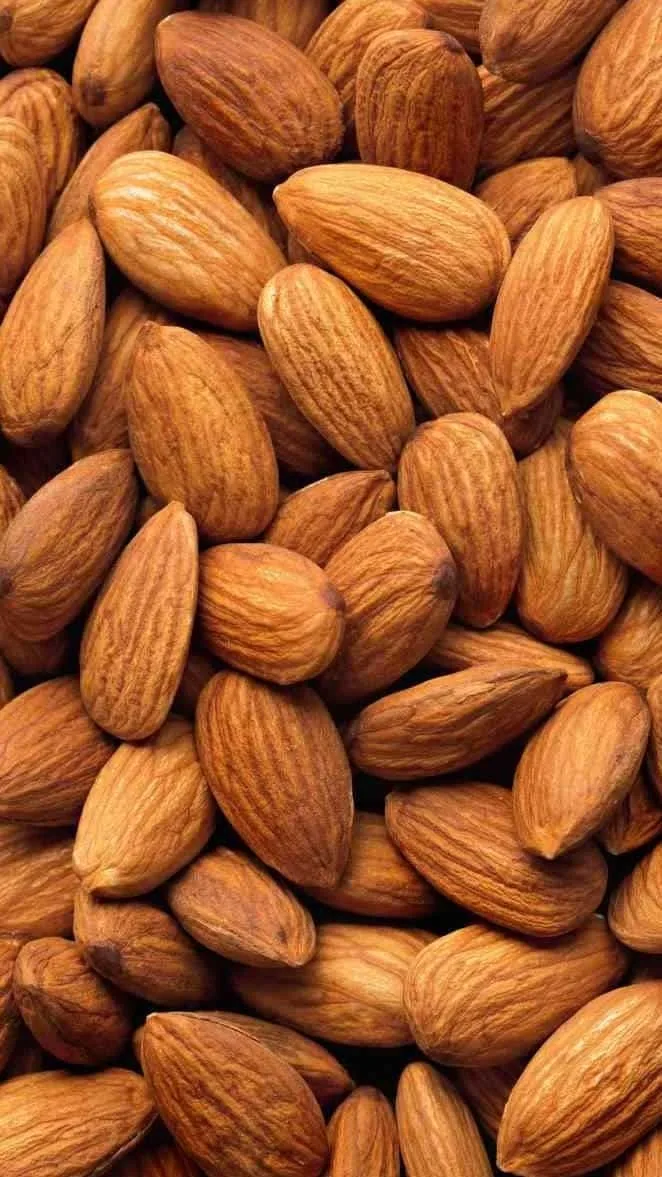 Badam - Almonds