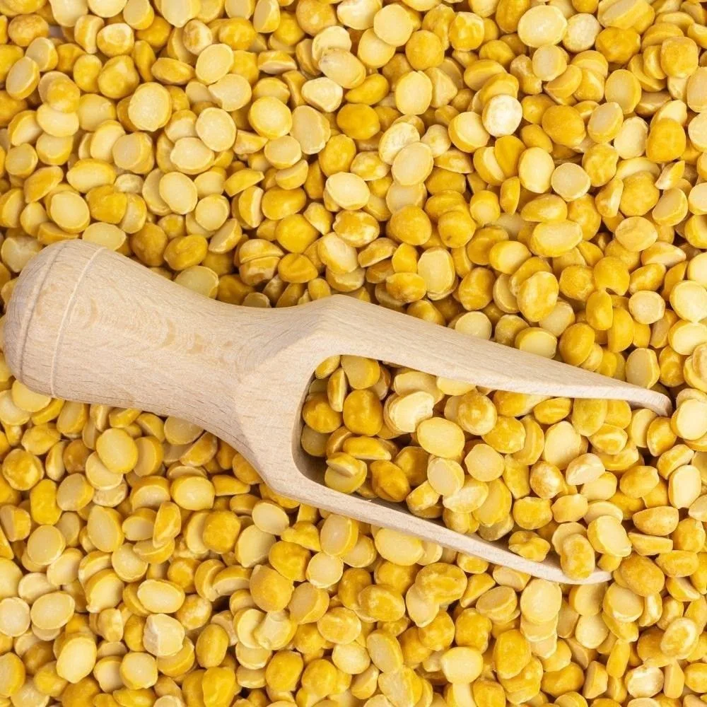 Chany Ki Daal